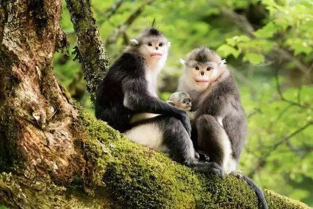 畅玩云南,畅玩永鸿动物园