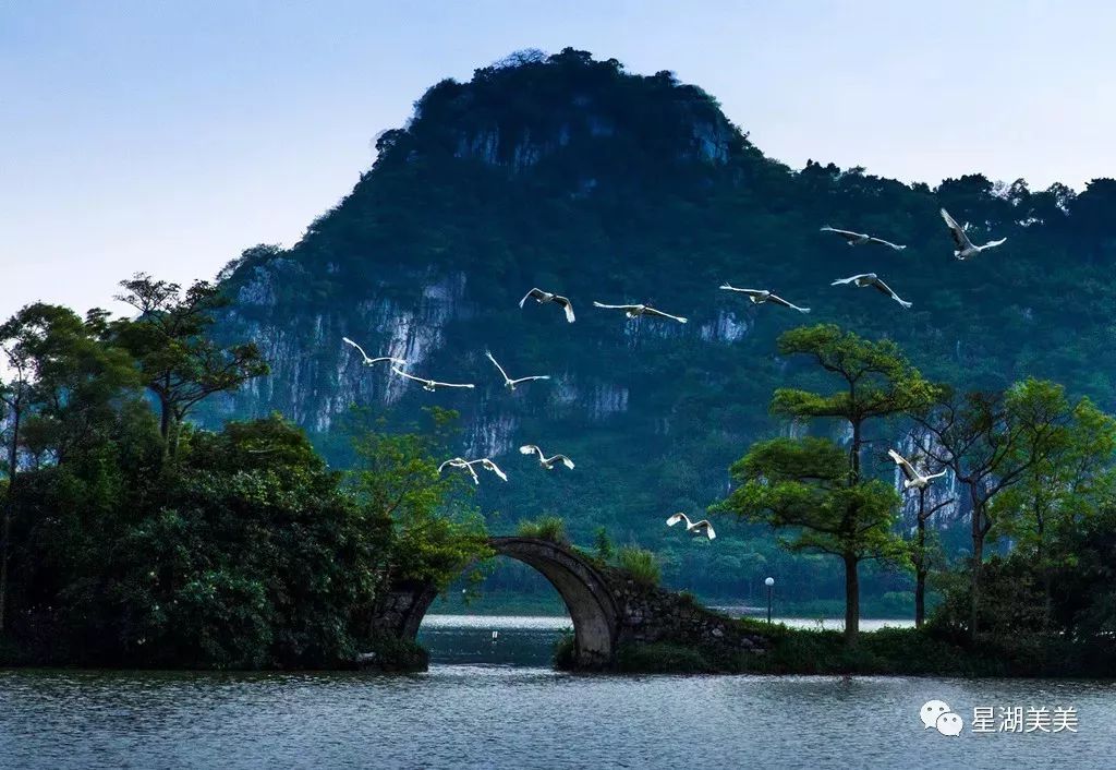 别再@微信官方,十一黄金周,肇庆鼎湖山、七星岩景区七重福利送给你!