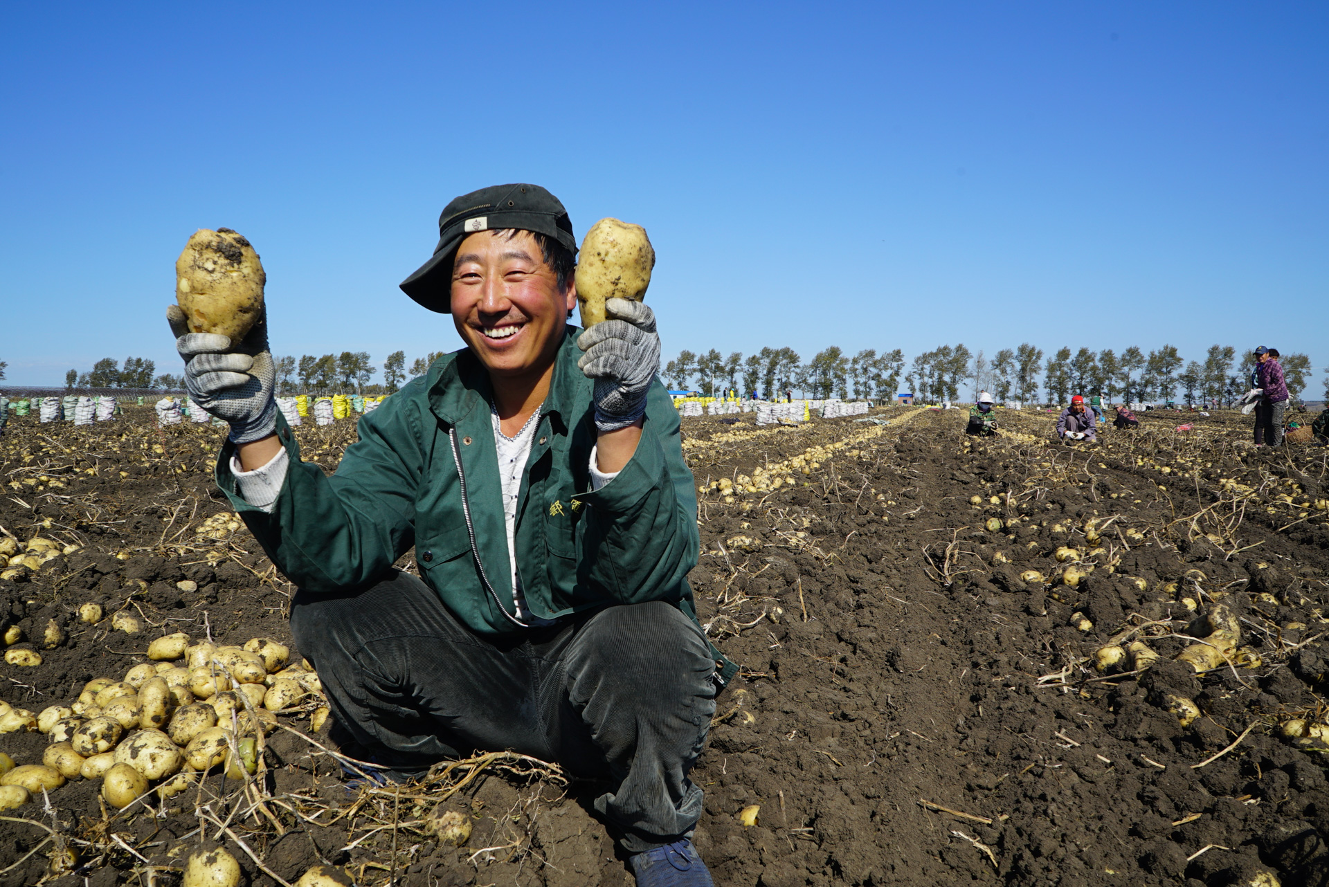 黑龙江省首届农民丰收节主会场,黑龙江农民丰收节开幕式