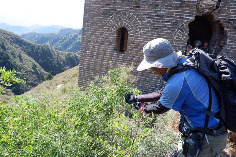 涞源烟煤洞长城,被遗忘的千里长城