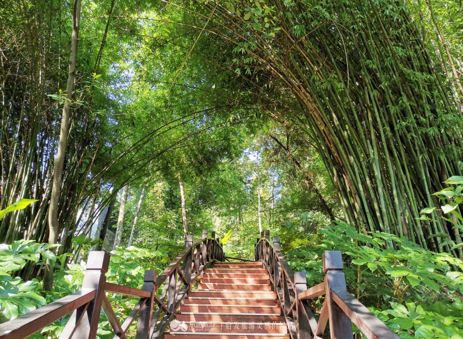 张家界森林公园自由行住宿推荐,张家界国家森林公园旅游住宿攻略