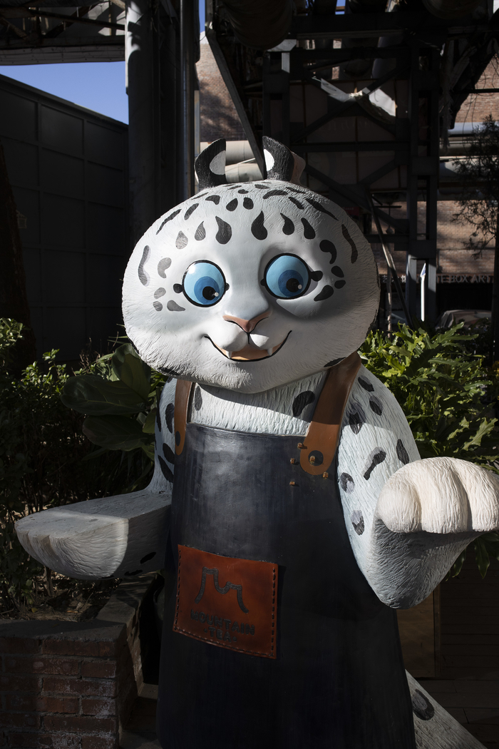 佳能vlog神器v10,佳能vlog神器v10最新报价