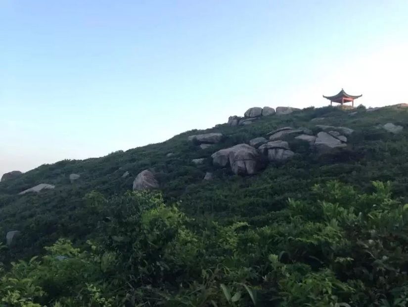 为了泳滩，遇上稔子和山日