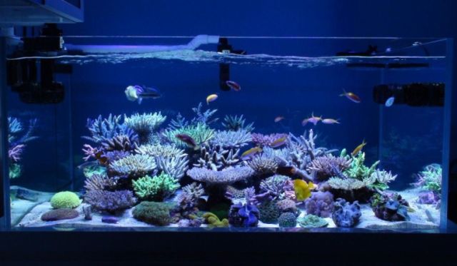 sps哪家更实用,sps怎么操作