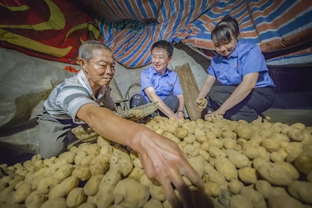 礼赞祖国丨精彩继续~湖北省女检察官协会摄影作品展（下）