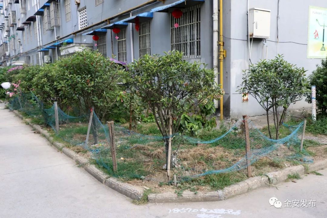 碧桂园空置房物业费收取标准,碧桂园老带新物业费不给了怎么办