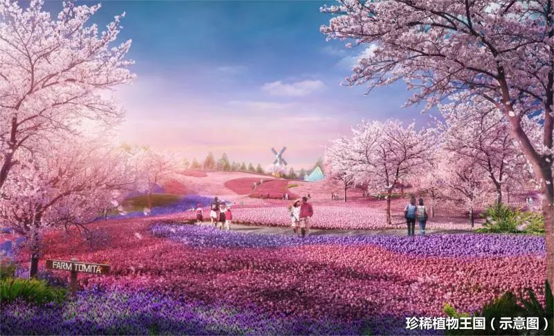 长株潭城际轨道交通西环线试运行,长株潭城轨西环线开通在即