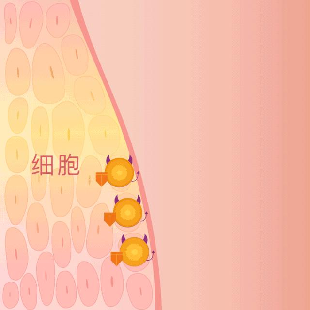 30岁女人必须让自己做到的事,女人30岁了还需要向现实妥协吗