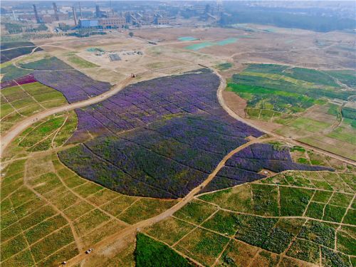 唐三其实是什么模样,唐山是美丽之城吗