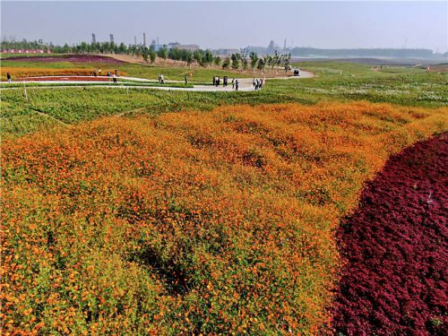 唐三其实是什么模样,唐山是美丽之城吗