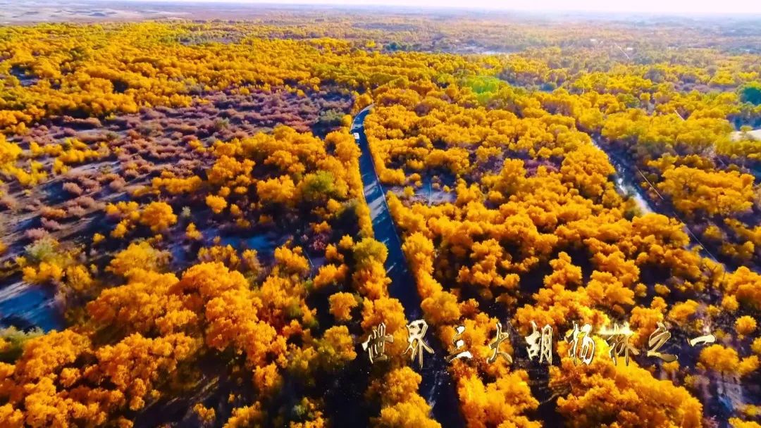 额济纳青年节旅游攻略,从巴彦淖尔市到额济纳旗旅游攻略