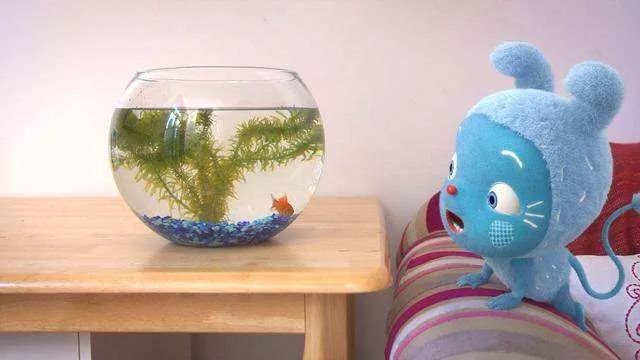 你还在给孩子看动画片吗,适合孩子看的英文动画片免费