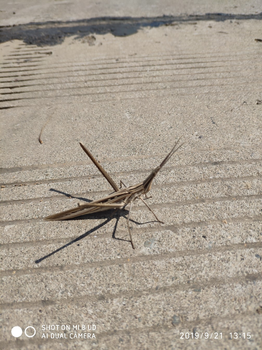 打黑上鱼教程,打黑鱼对轮的要求