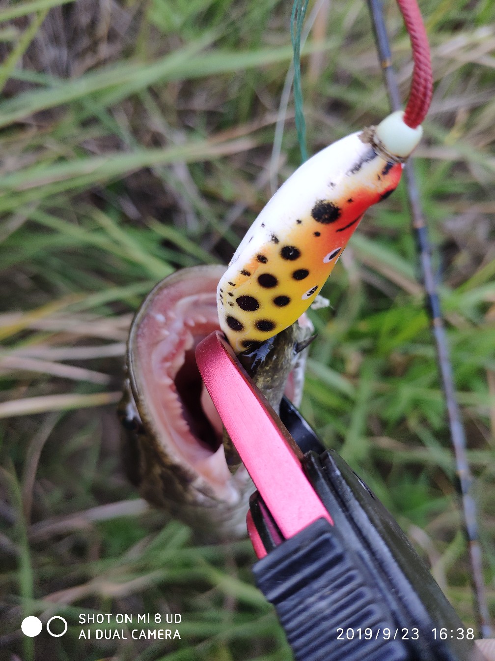 打黑上鱼教程,打黑鱼对轮的要求