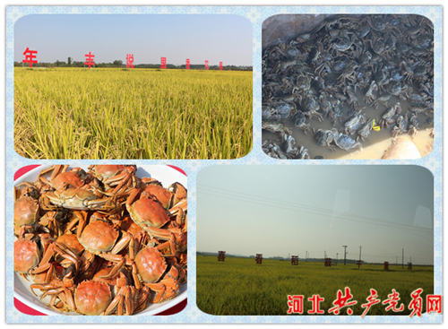 鎴戝拰鎴戠殑绁栧浗涓婚搴嗙娲诲姩,鎴戝拰鎴戠殑绁栧浗搴嗙70鍛ㄥ勾涓婚