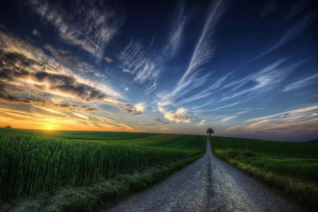 致敬了不起的农资人,致敬每一位农资人