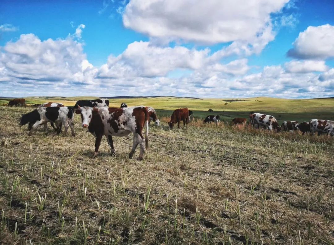莫干山评价最高民宿,莫干山八家高颜值民宿推荐