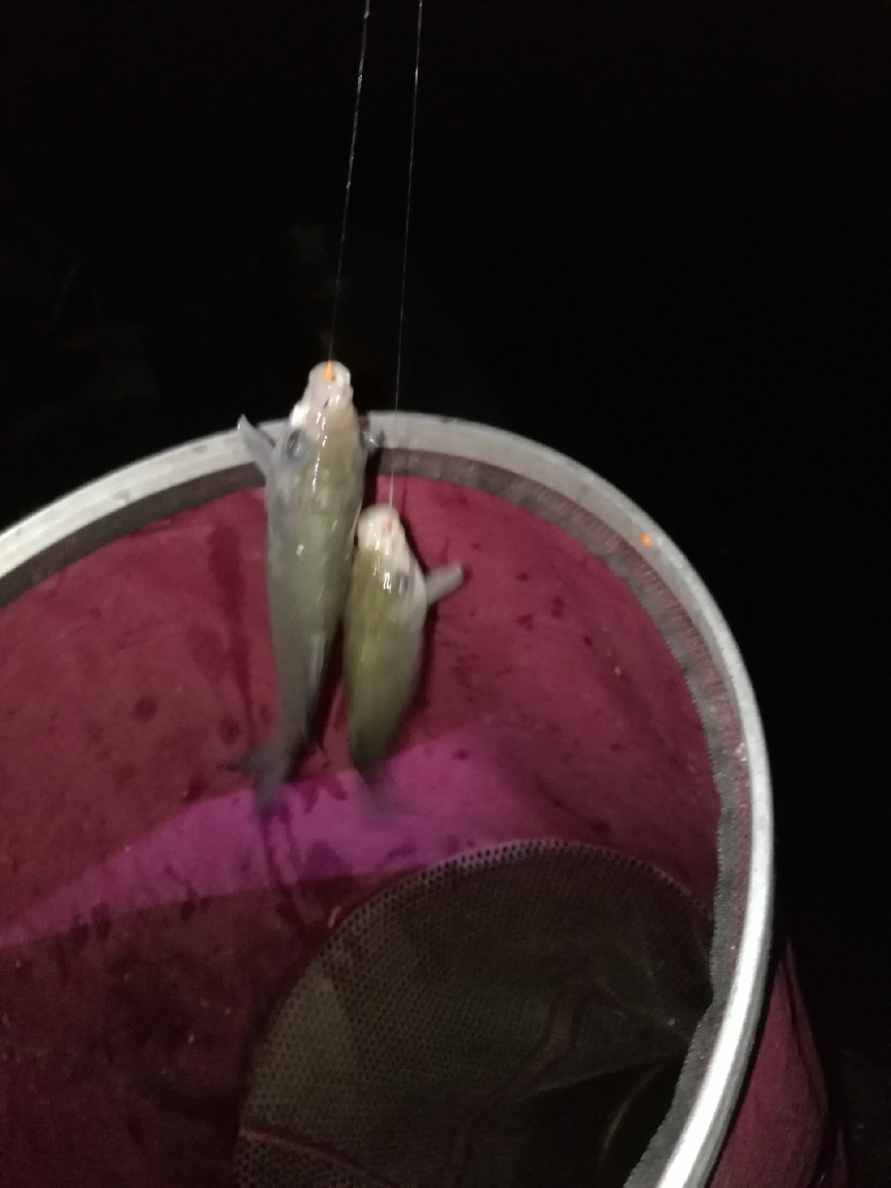 调整军事战略方针,调整战术与战略