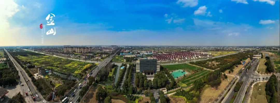 上海金山区100强企业,金山区有哪些大型企业