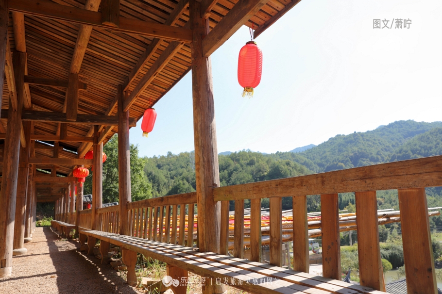 打卡中国第一高塔600米小蛮腰,打卡光明四大网红桥