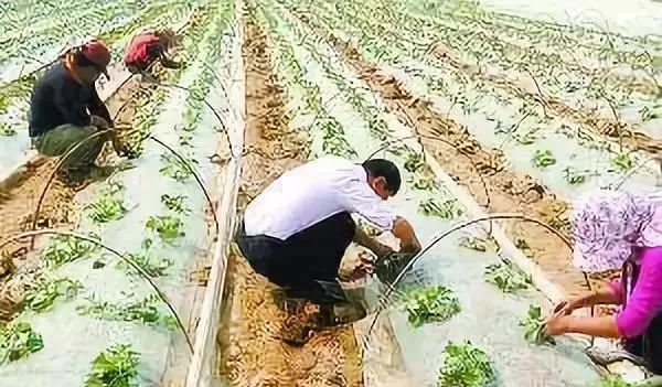 赵县有没有小山村,赵县最南边的村