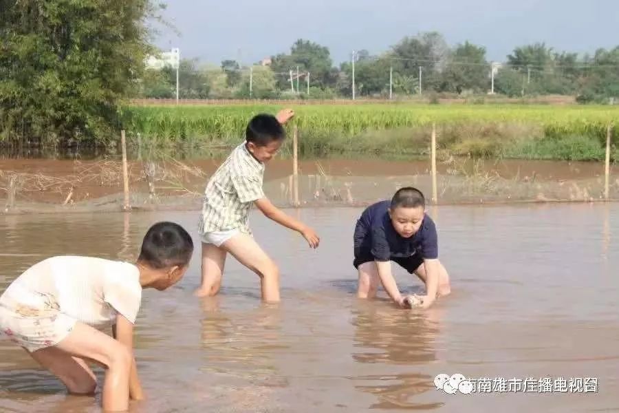 农村生态旅游景区生态休闲好去处,乡村生态旅游火热