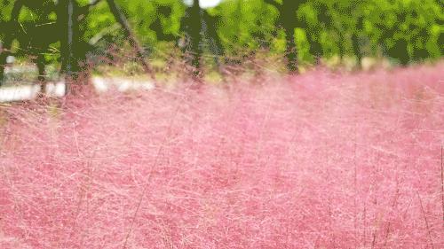 黄石周边一日游网红打卡地,黄石市爬山散步