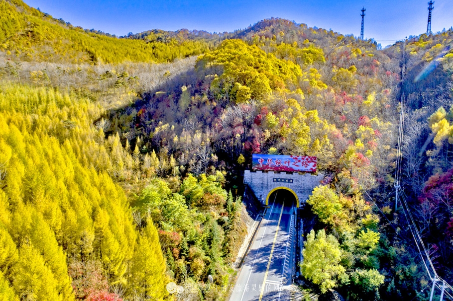 中华枫叶大道沿途风景区,中华枫叶大道红了吗