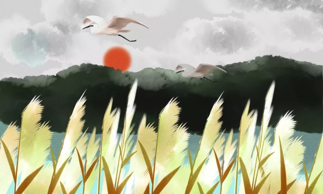 2019年寒露具体时间,今天寒露具体时间