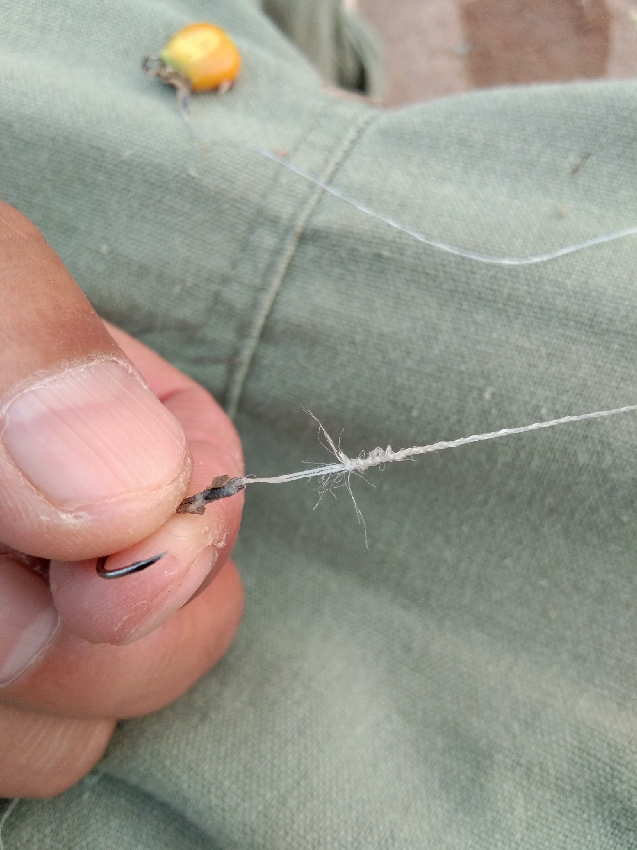 淡水白鲳秋天怎么钓,串钩钓淡水白鲳