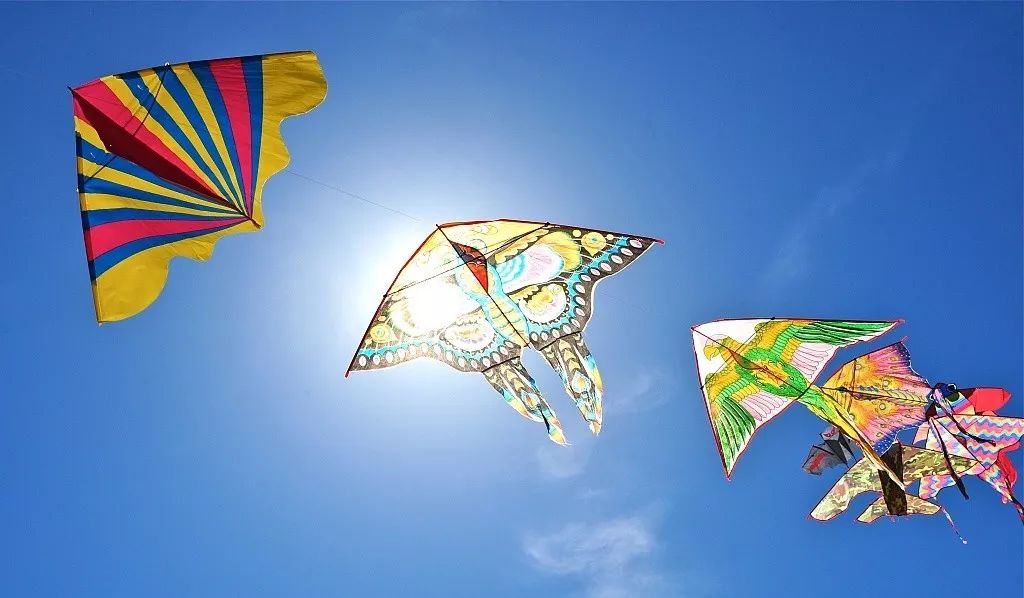 上海风筝大赛,松江举办大型比赛