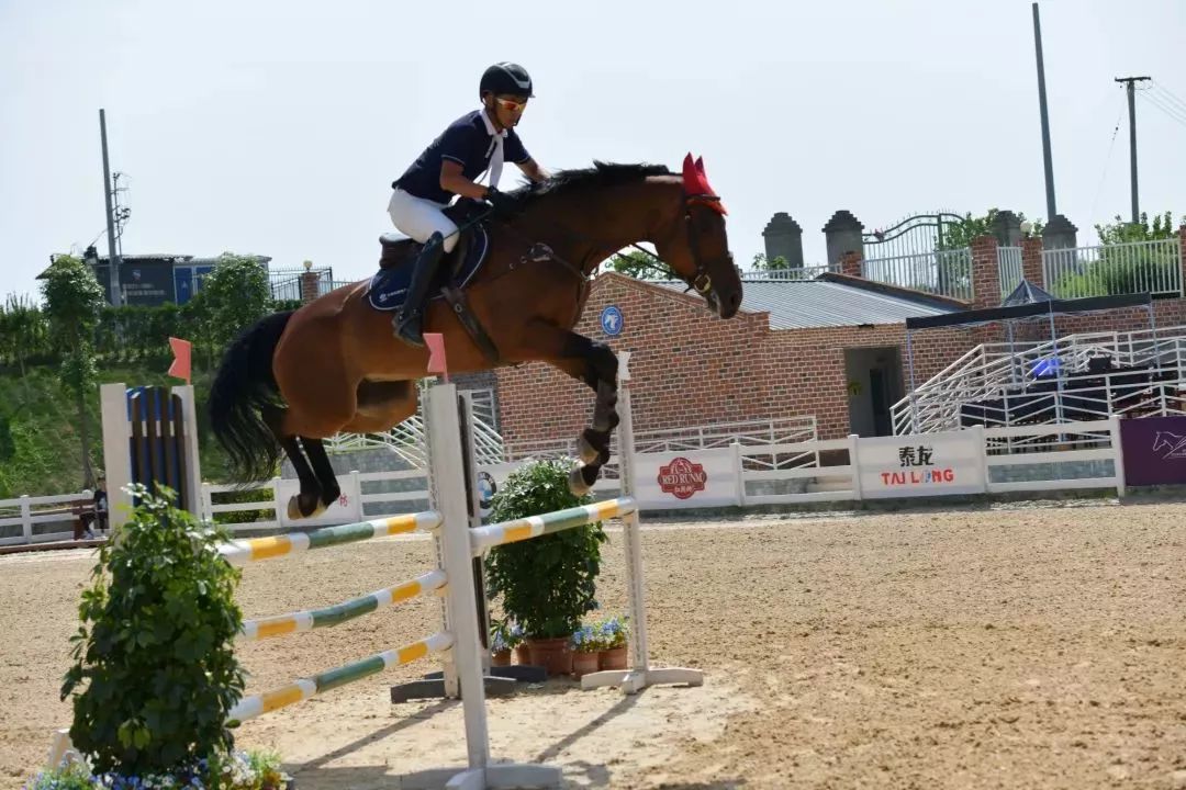 国庆黄金周，青白江接待游客56.89万人次！