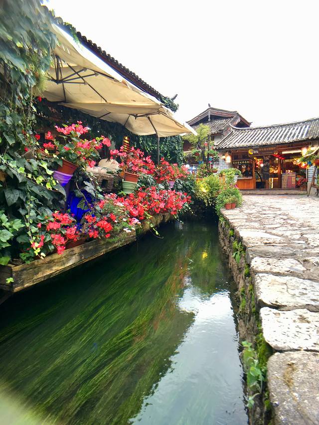 丽江大研花巷美景,丽江大研花巷旅游景点