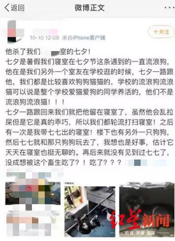 高校回应研究生虐狗处理结果,成都理工大学正式回应虐狗事件