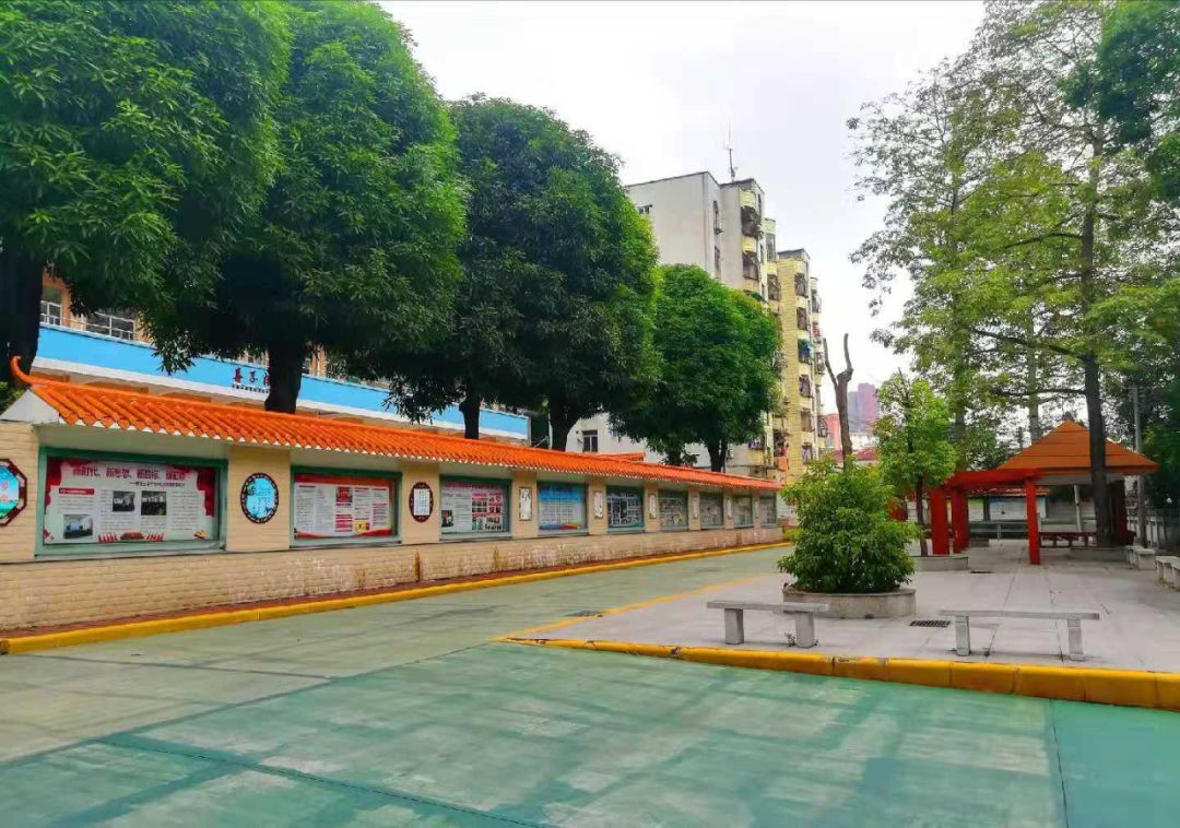 广州市增城区小学优秀学生,广州增城区小学前十名