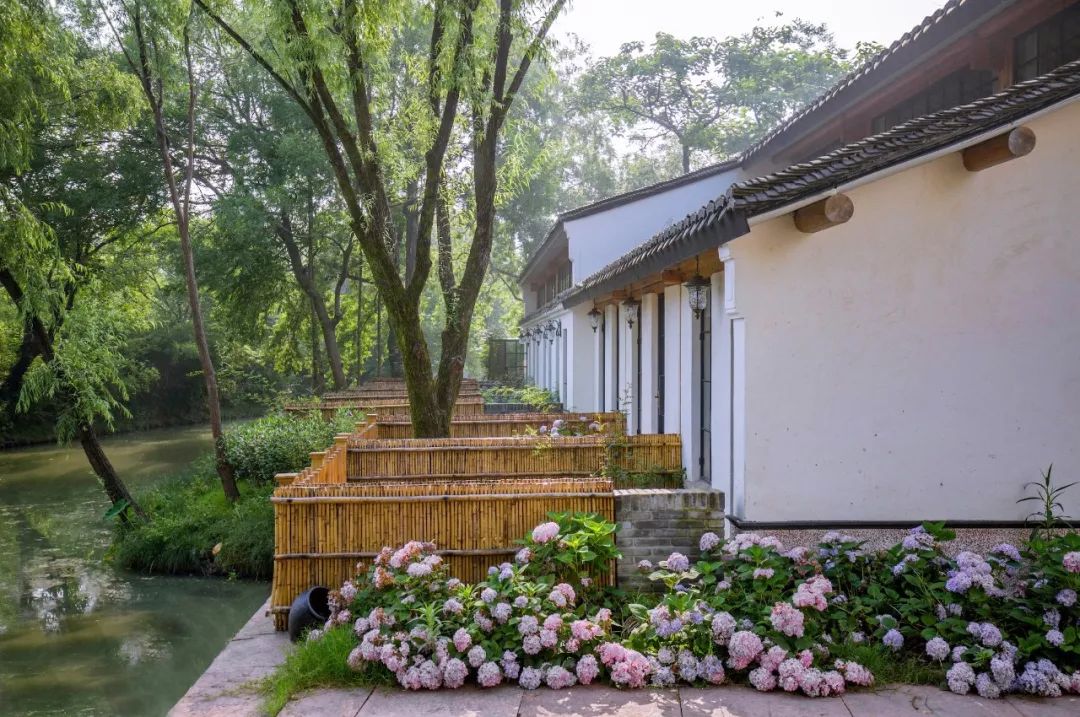 耗时3年的花间堂创始人新作，以船代步揭开杭城小众一面