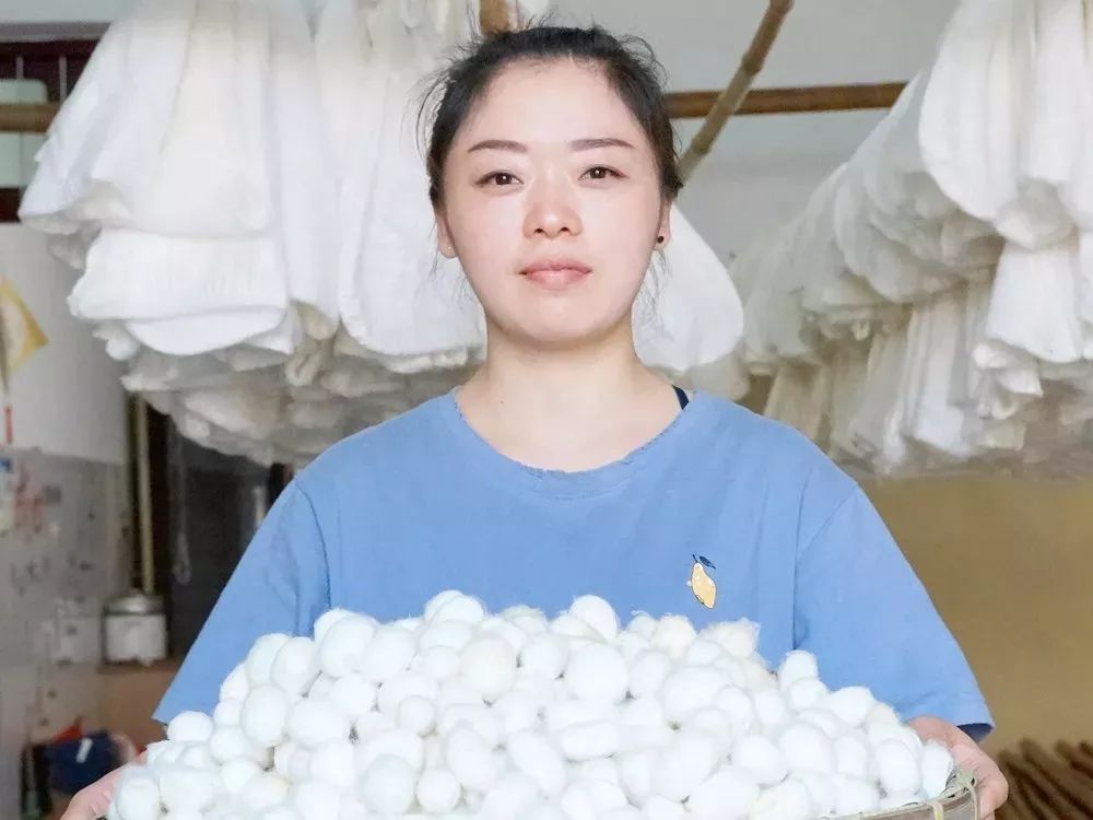 紧急通知蚕丝被,蚕丝被曝光事件