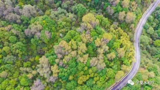 宁夏固原：七十年改山治水得俊颜“贫瘠甲天下”之地换了人间
