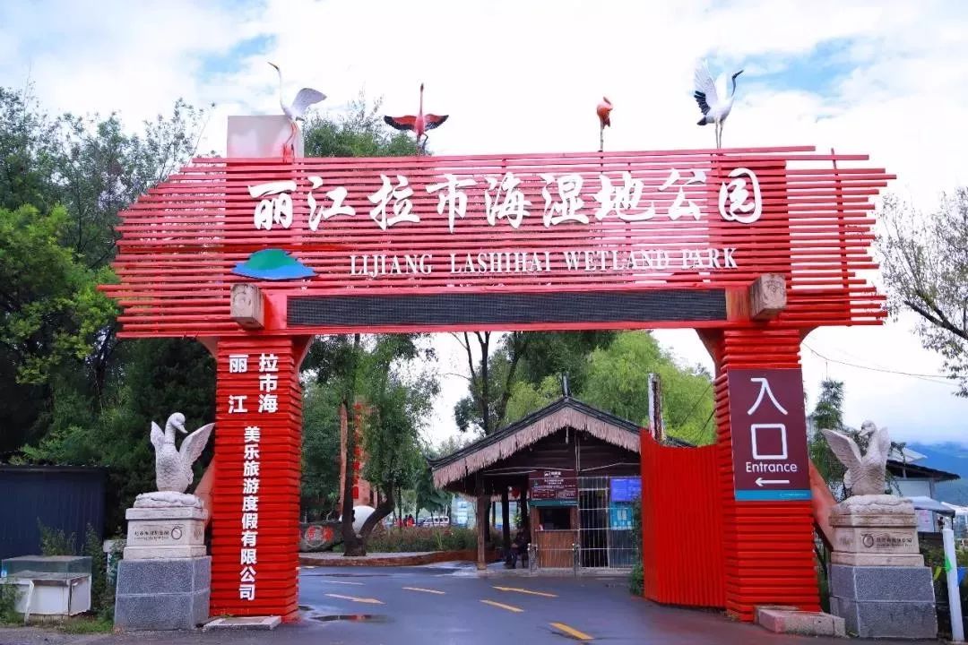 拉市海候鸟湿地公园在哪里,拉市海湿地公园和归来公社