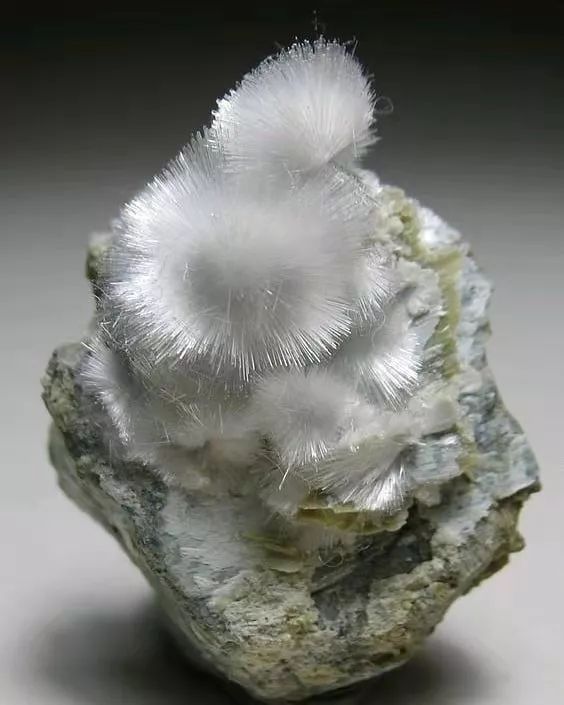 谁还不是个小可爱呢下一句,谁还不是小可爱