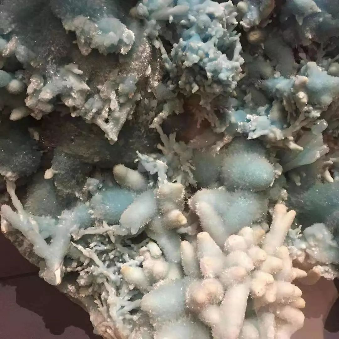 谁还不是个小可爱呢下一句,谁还不是小可爱