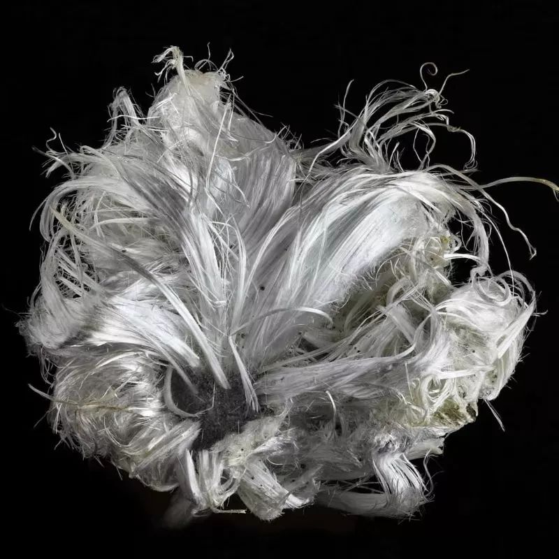 谁还不是个小可爱文案,谁小时候还不是个小可爱