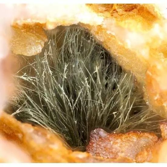 谁还不是个小可爱呢下一句,谁还不是小可爱