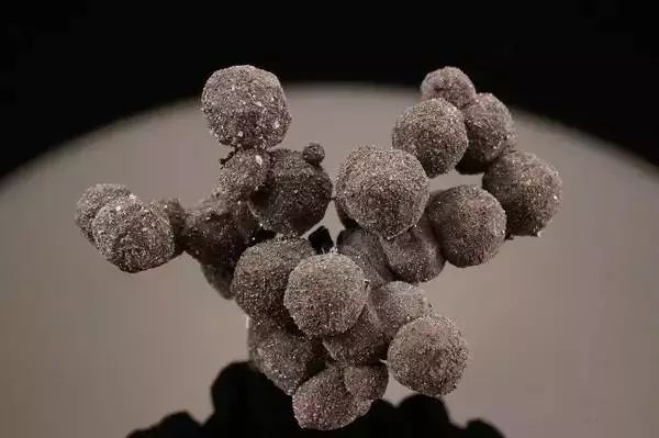 谁还不是个小可爱文案,谁小时候还不是个小可爱