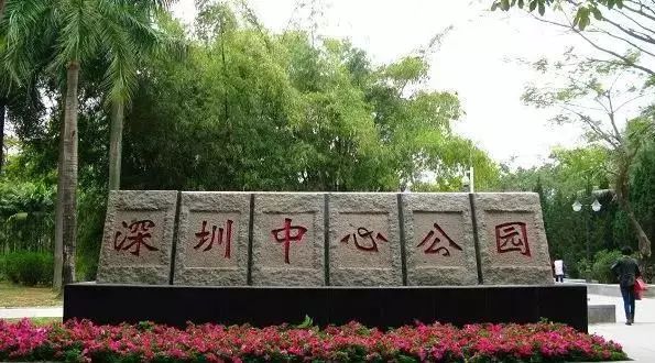 福田新花卉世界搬哪里,深圳福田花卉世界新址