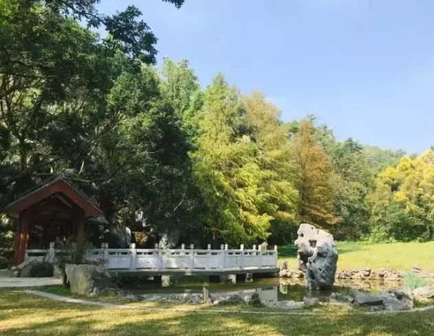 福田新花卉世界搬哪里,深圳福田花卉世界新址