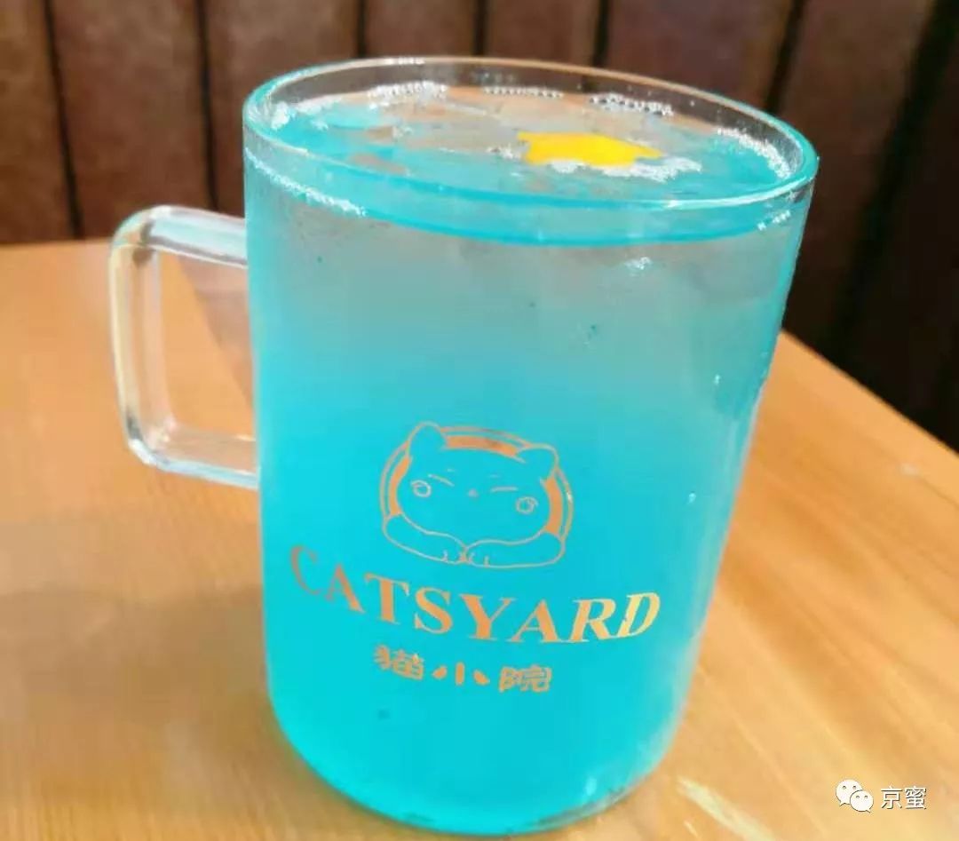 北京大型撸猫馆推荐,三里屯撸猫的地方