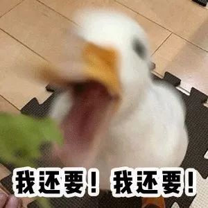 淘宝种草好物推荐哪个平台,淘宝种草好物一元购是真的吗