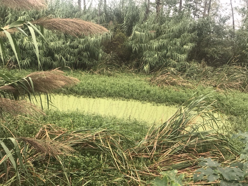 路亚打黑2022年视频,路亚打黑第一条鱼