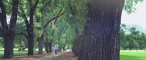 17个城市、200万跑友！苏州即将迎来一场含金量杠杠的奥跑活动